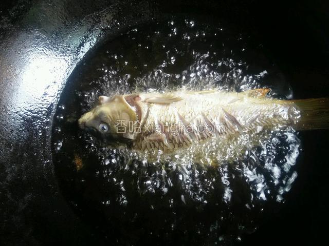 酥鱼至两面黄，注意别炸糊了，有些只用少量油将鱼稍煎。但我爱将鱼稍炸干，便于红烧时鱼更入味，用制作的汤料将鱼肉回锅煮酥，味则更浓香，肉味鲜美