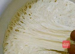 芸豆排骨包子的做法图解13