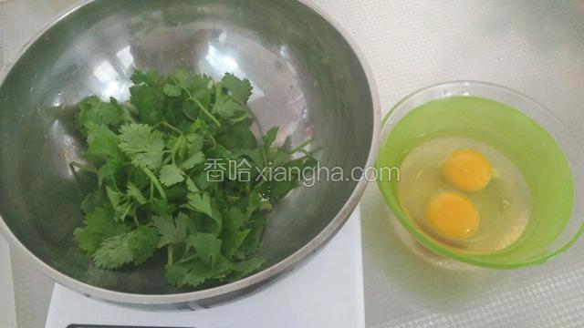 香菜洗净切断，鸡蛋打散