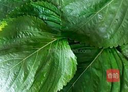 苏耗子的做法图解5