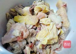 红菇鸡汤的做法图解5