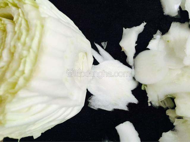 不用将白菜帮摘下来，在上面切得劲