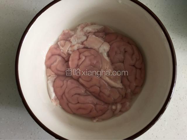 清洗干净的猪脑