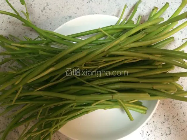 空心菜去掉叶子，洗干净