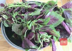 野苋菜饺子的做法图解3