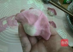 野苋菜饺子的做法图解17