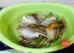 沙锅鱼干的做法图解1