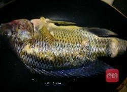 罗非鱼汤的做法图解4