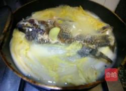 罗非鱼汤的做法图解7