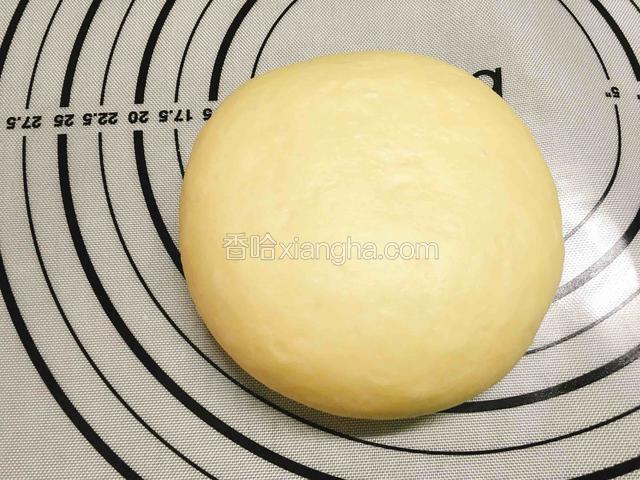 用手揉面团进行排气。