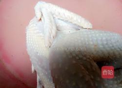 药材鸡的做法图解1