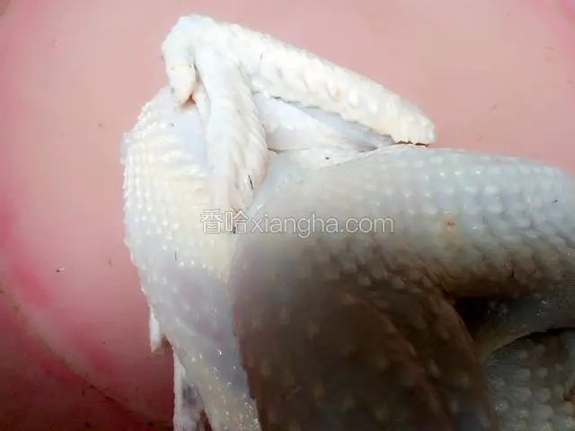 把杀好的土鸡洗干净