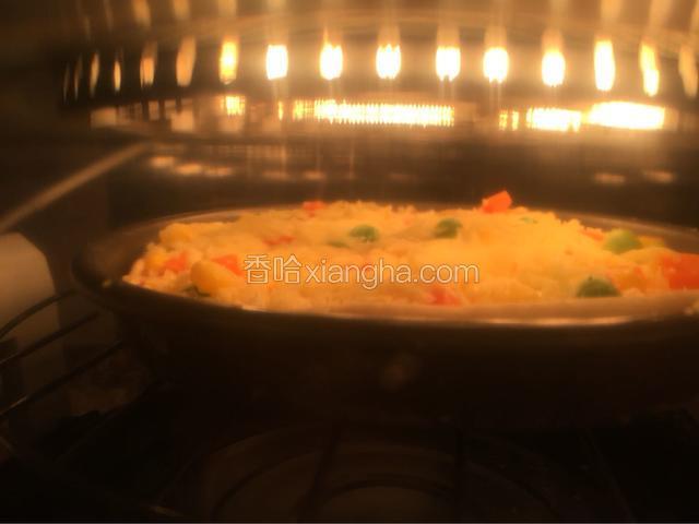 入光波炉230度10分钟