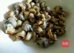 凉拌海螺的做法图解5