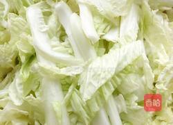 猪肉白菜炖粉条的做法图解1