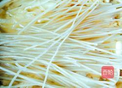 猪肉白菜炖粉条的做法图解9