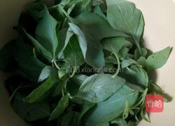 凉拌荆芥的做法图解1