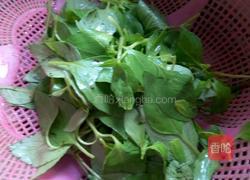 凉拌荆芥的做法图解3