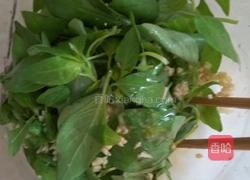 凉拌荆芥的做法图解5