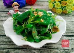 凉拌荆芥的做法图解6