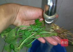 凉茶的做法图解2