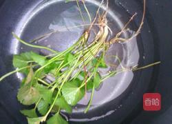 凉茶的做法图解3