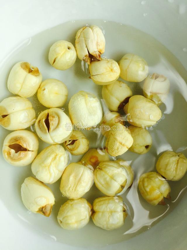 莲子要提前浸泡二十分钟