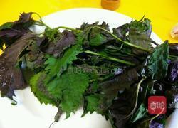 紫苏豉酱炒石螺的做法图解3