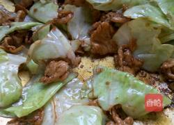 莲花白炒肉的做法图解5