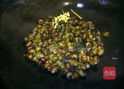 红烧螺丝的做法图解4