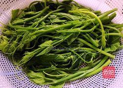 凉拌南瓜藤的做法图解4