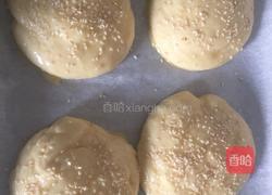 汉堡胚（手工揉面版）的做法图解9