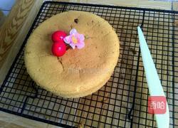 蔓越莓炼乳蛋糕的做法图解18