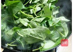 蒜蓉红薯叶的做法图解2