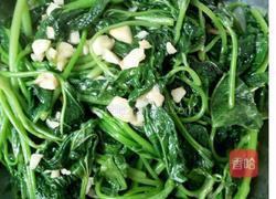 蒜蓉红薯叶的做法图解3