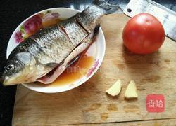 番茄红烧鱼的做法图解1