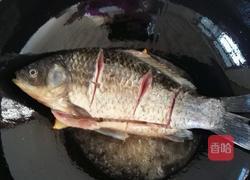 番茄红烧鱼的做法图解4