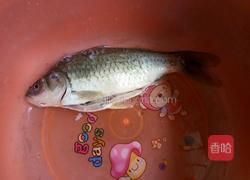 酱烧鲫鱼的做法图解1