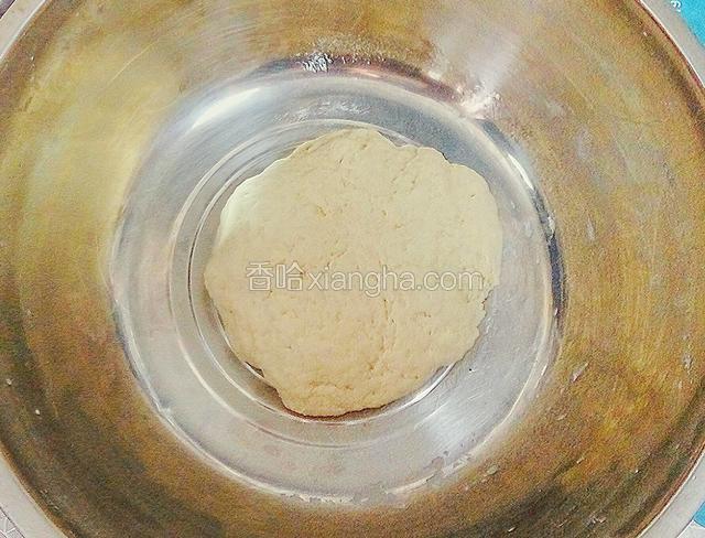 揉成稍硬一些的面团盖上湿笼布醒三十分钟