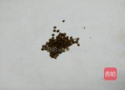 决明子杞菊水的做法图解2