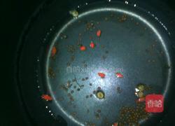 决明子杞菊水的做法图解3