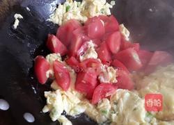 番茄面的做法图解6