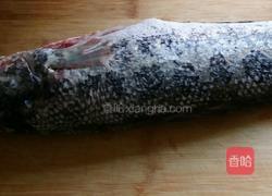 家常红烧黑鱼的做法图解1