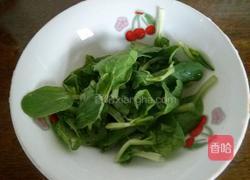 重庆老麻抄手的做法图解9