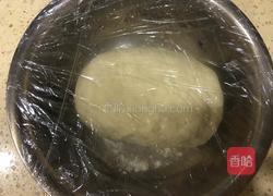 豆角肉包子的做法图解1