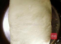 油菜虾仁水饺的做法图解2