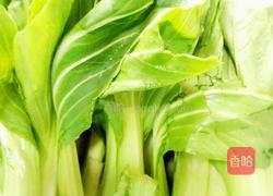 油菜虾仁水饺的做法图解7