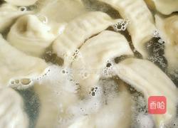 油菜虾仁水饺的做法图解18