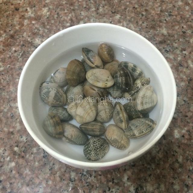 提前将花蛤用盐水浸泡2小时以上，用刷子将花蛤表面清洗干净。
