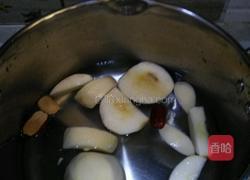 苹果大枣茶（补气血）的做法图解2